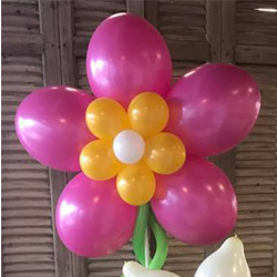 Ballondecoratie